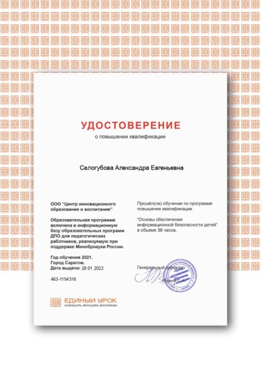 2021-2022 Салогубова А.Е. (Удостоверение повышение квалификации информ.безопасность)
